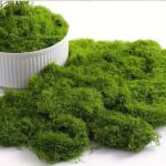 Mendels Artificial Moss Sponge (200g) - Image 3