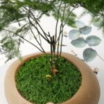 Mendels Artificial Moss Sponge (200g) - Image 4