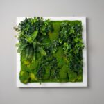 2ft x 2ft Artificial Green Wall Panel | Framed Moss Wall Décor