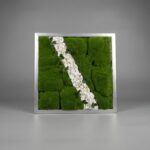 2ft x 2ft Framed Living Moss Wall Art — Preserved Green Moss Panel with White River Pebbles | Biophilic Wall Decor, Zen Office Art, Minimalist Nature Frame