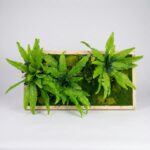 green moss wall art wall decor