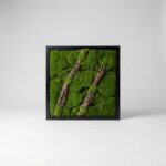 Bring nature indoors with our 24" x 24" framed moss art — no watering required.