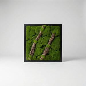 Bring nature indoors with our 24" x 24" framed moss art — no watering required.