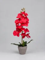 Artificial Orchid Plant 60cm | Elegant Decorative Orchid Plant Nigeria - Image 2