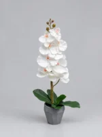 Artificial Orchid Plant 80cm | Elegant Decorative Orchid Flower Nigeria