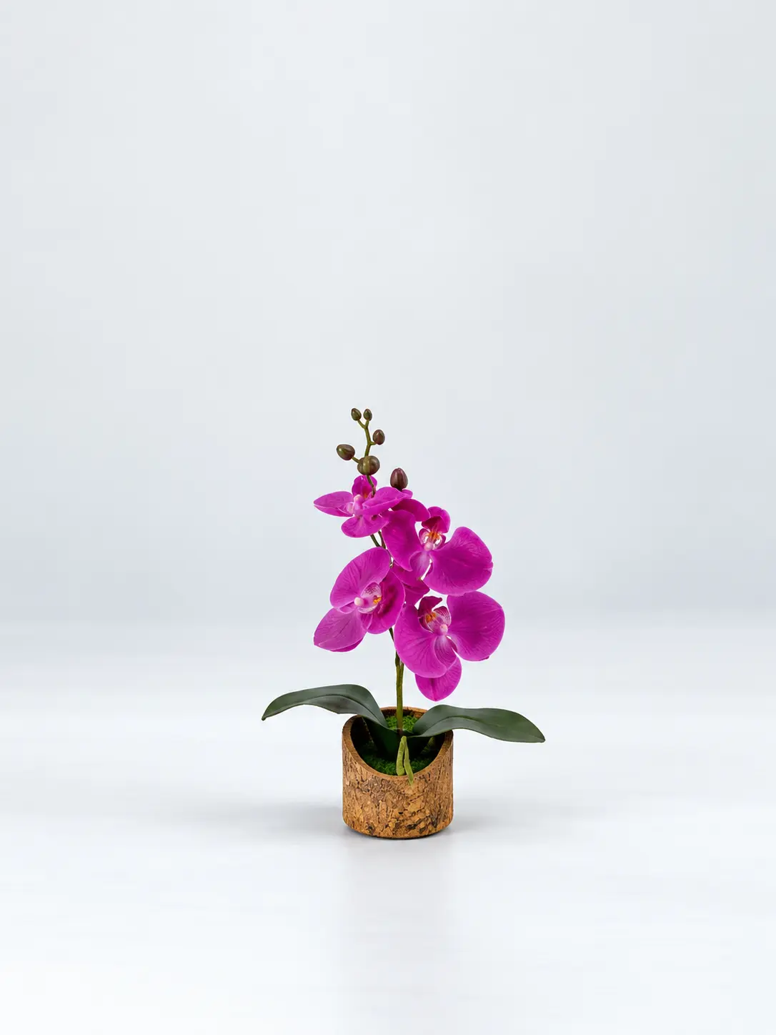 Minimalist-Magenta-Orchid-Studio-Portrait.webp Bamboo Orchid Tabletop 30cm | Artificial Tabletop Plant Nigeria - Image 1