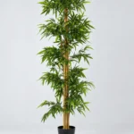 Single Stem Bamboo Tree 200cm | Artificial Bamboo Tree Nigeria