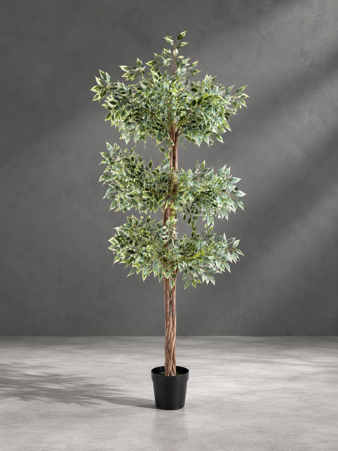 Variegated-Tree-in-Minimalist-Studio.jpg Artificial Variegated Ficus Tree 200cm | Realistic Indoor Tree Nigeria - Image 1