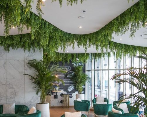 Ceiling Greenery Design