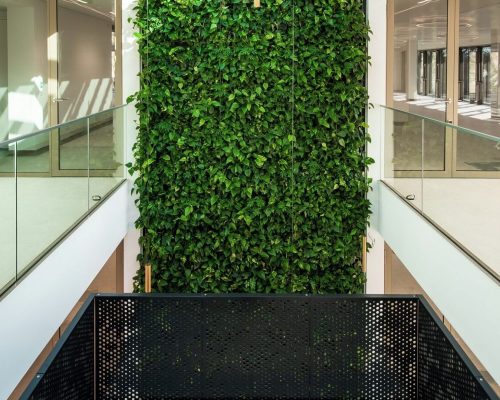 Partition & Space-Divider Greenery