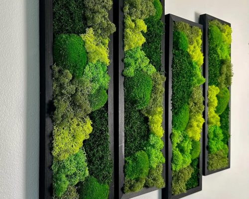 Wall Greenery Systems